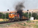 BNSF 3904